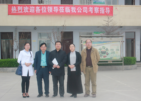 《家庭美德》，擁抱偉志企業(yè)