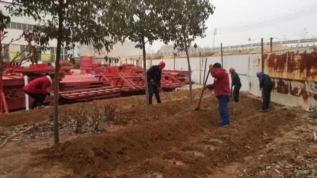 鋼模板廠家播下希望，收獲果實