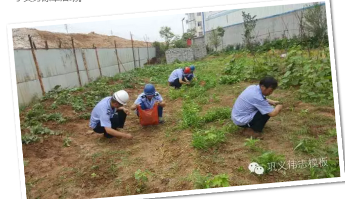 員工冒雨參加義務(wù)勞動(dòng)！感動(dòng)———偉志鋼模板廠家