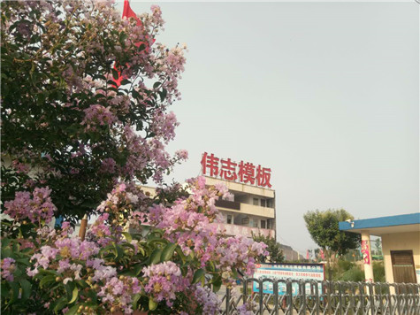 專業(yè) 專注，河南偉志模板在2018年期待您的光臨