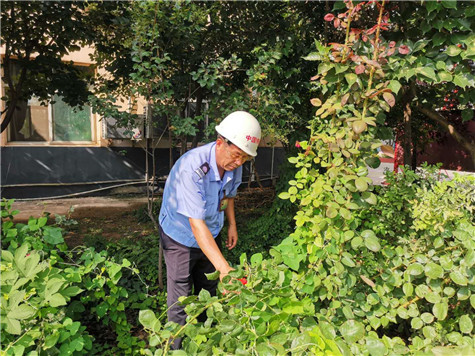 河南偉志模板來保軍——美麗的花園，來自辛勤的勞動(dòng)