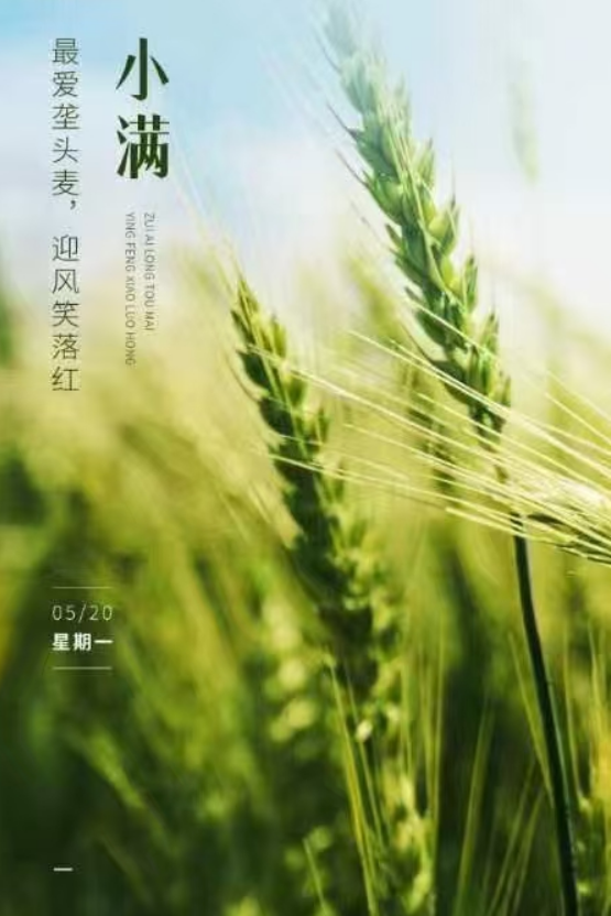 小滿即安，未來可期！